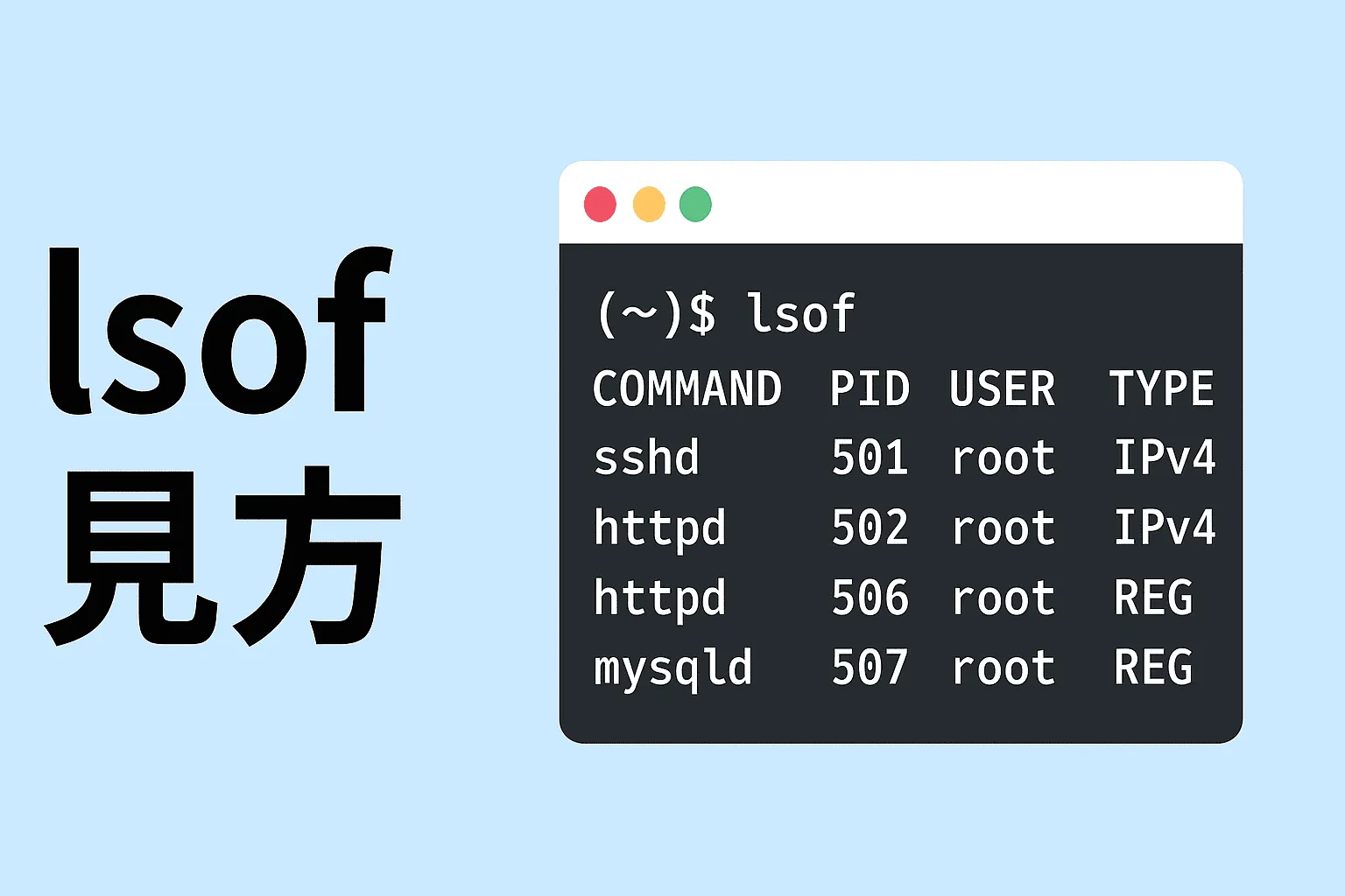 【Linux】lsofコマンドの見方・活用ガイド