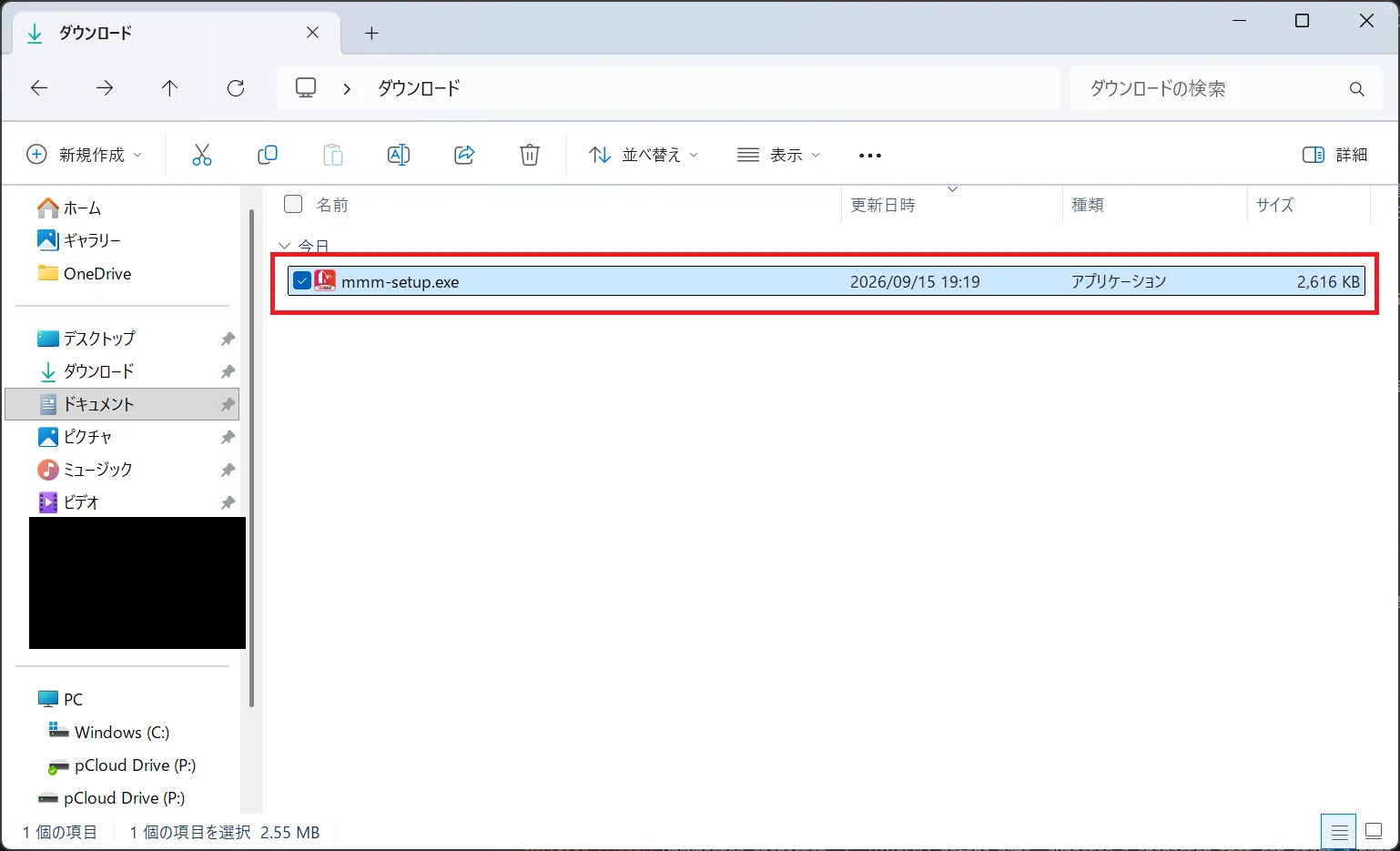 ダウンロードされたインストーラーファイル
