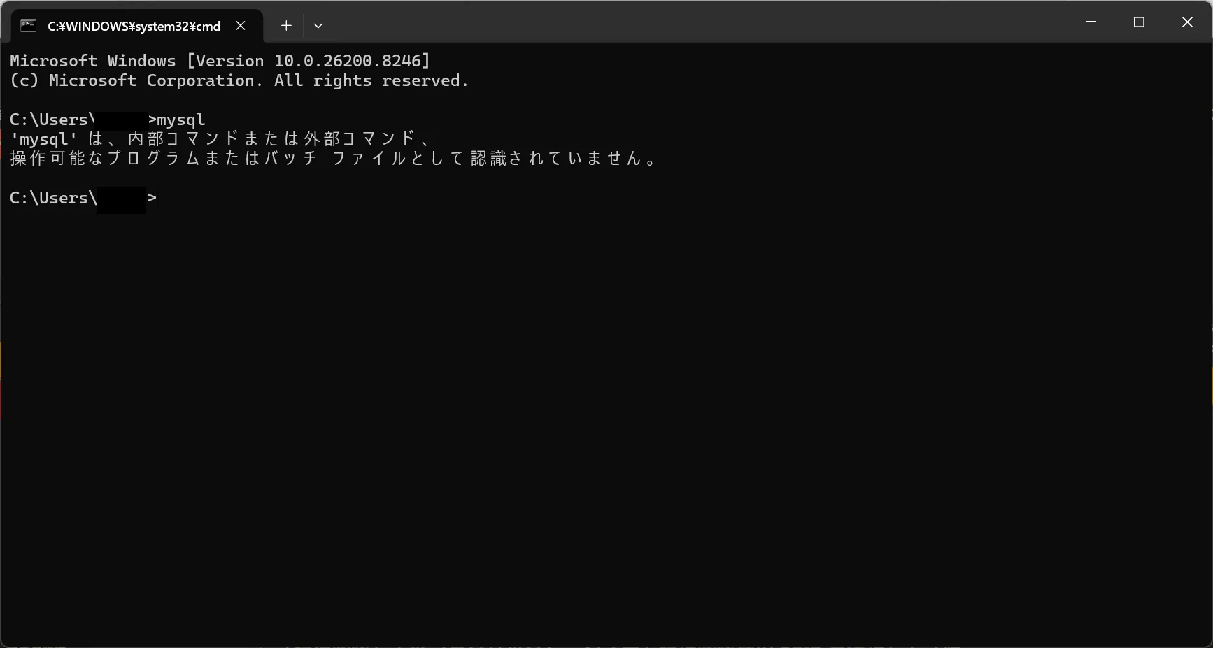 環境変数の設定